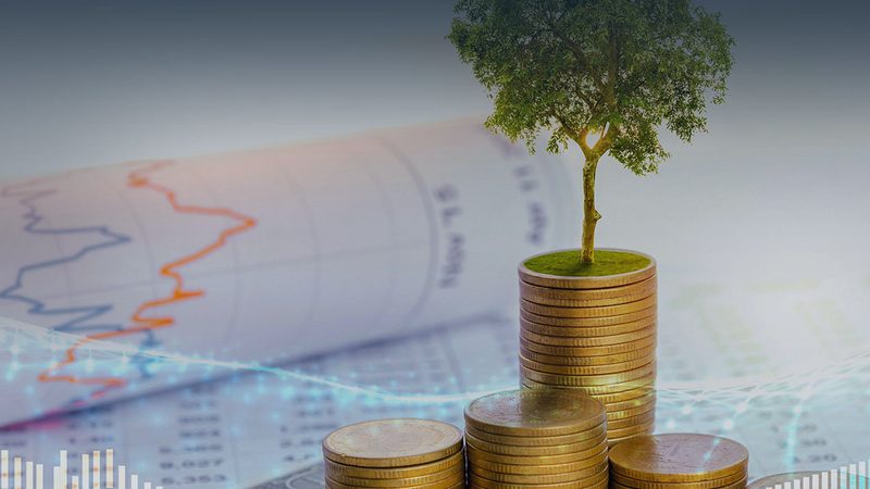 可行性研究报告分类模板